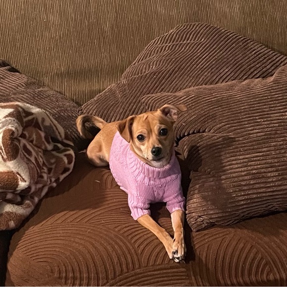 Leah Bobea - Picture 4 of 7